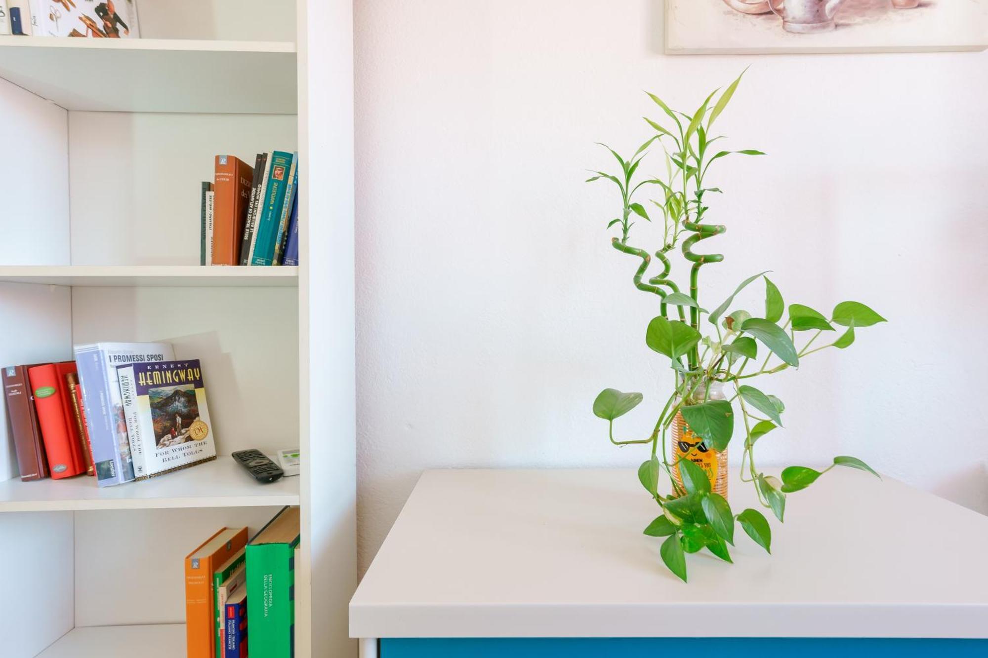 B&B Pothos - Eng Ita - Air Conditioning Wi-Fi Fridge Netflix Local Guide - Aria Condizionata, Frigo, Internet, Guida Locale Cagliari Extérieur photo