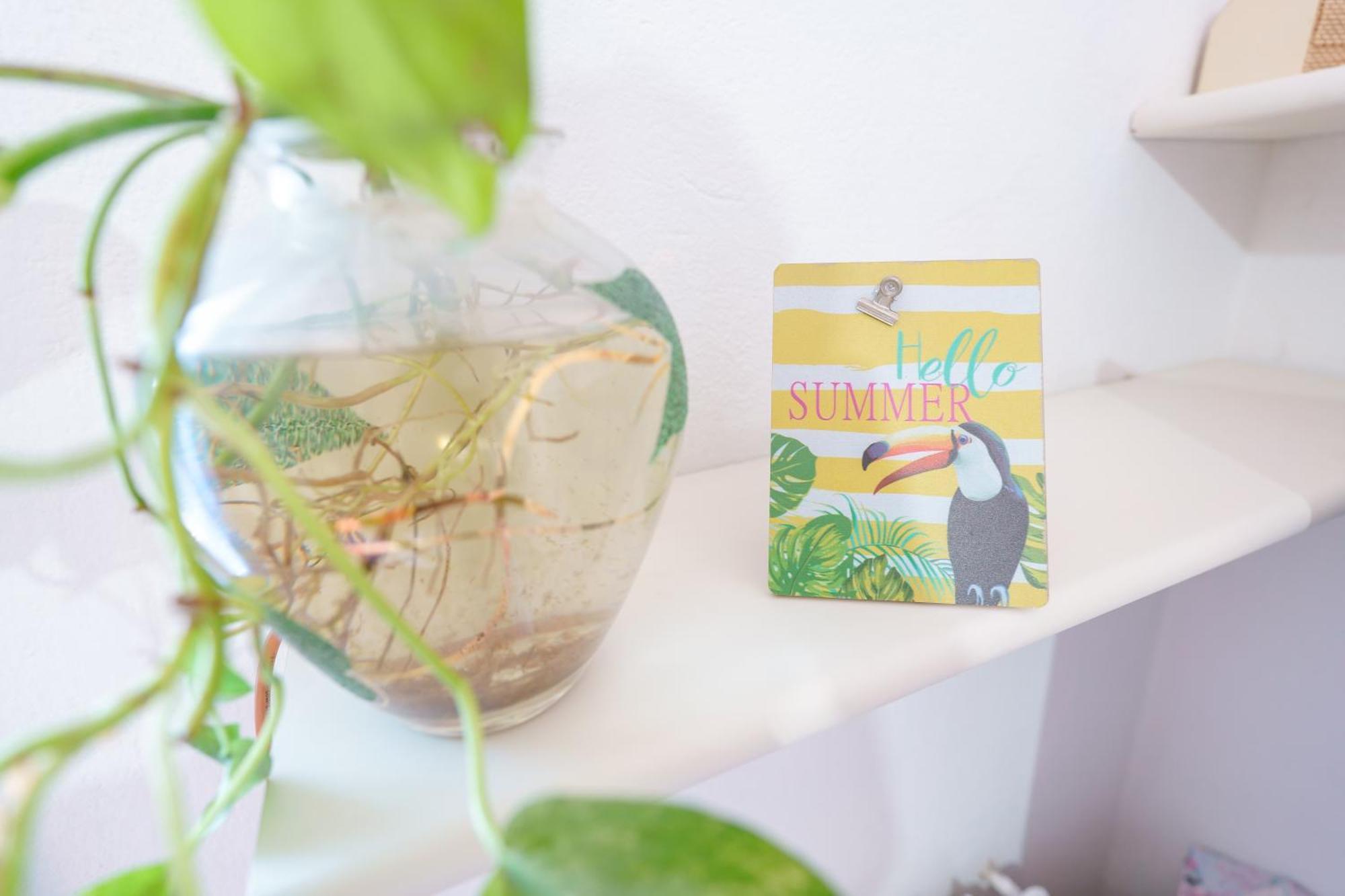 B&B Pothos - Eng Ita - Air Conditioning Wi-Fi Fridge Netflix Local Guide - Aria Condizionata, Frigo, Internet, Guida Locale Cagliari Extérieur photo